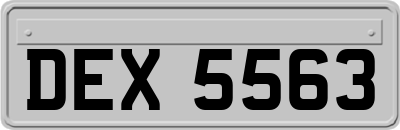 DEX5563