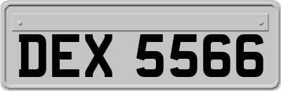 DEX5566