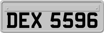 DEX5596