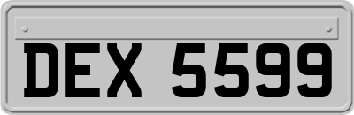DEX5599