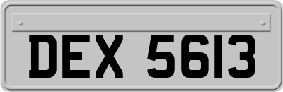 DEX5613