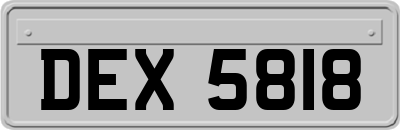 DEX5818