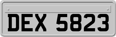 DEX5823