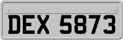 DEX5873