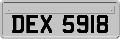 DEX5918