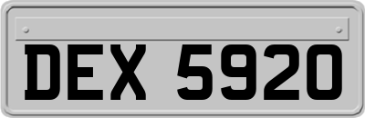DEX5920