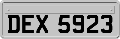 DEX5923