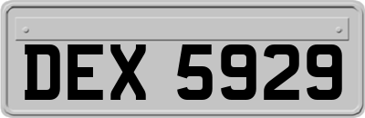 DEX5929