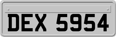 DEX5954