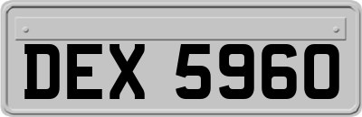 DEX5960