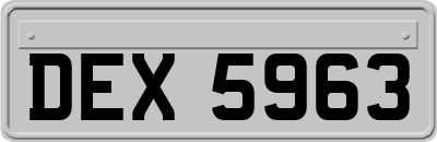 DEX5963