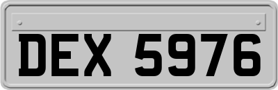 DEX5976