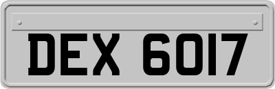 DEX6017