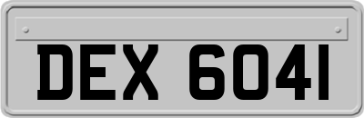 DEX6041