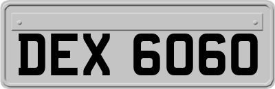DEX6060