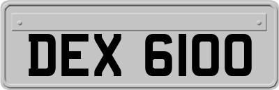 DEX6100