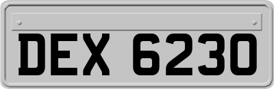 DEX6230