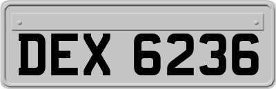 DEX6236