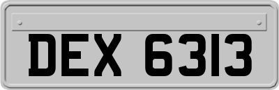 DEX6313