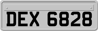 DEX6828