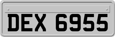DEX6955