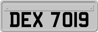 DEX7019