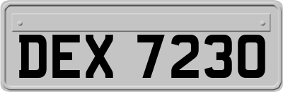 DEX7230