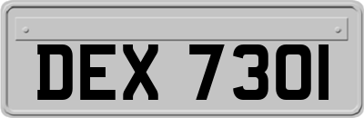 DEX7301