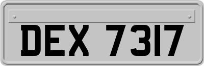 DEX7317