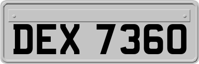 DEX7360