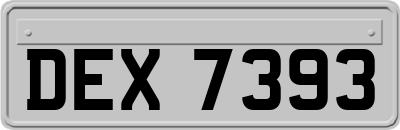 DEX7393