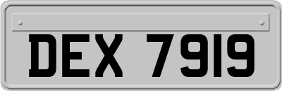 DEX7919