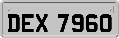 DEX7960