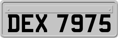 DEX7975