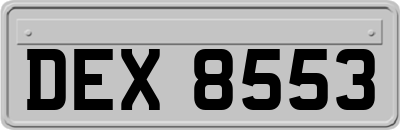 DEX8553