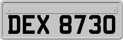 DEX8730