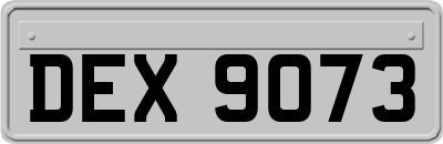 DEX9073