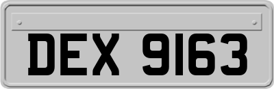 DEX9163
