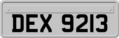 DEX9213