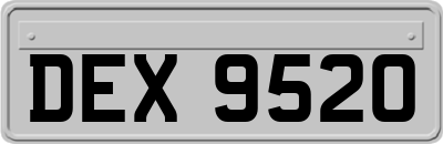 DEX9520