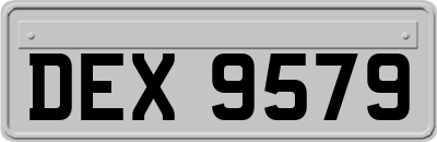 DEX9579