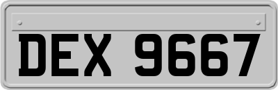 DEX9667