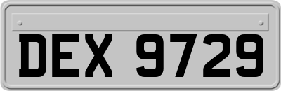 DEX9729