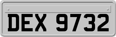 DEX9732