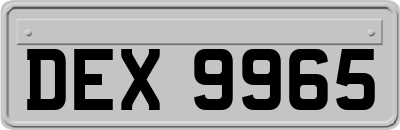 DEX9965