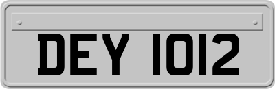 DEY1012