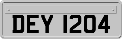 DEY1204