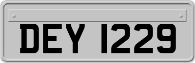 DEY1229