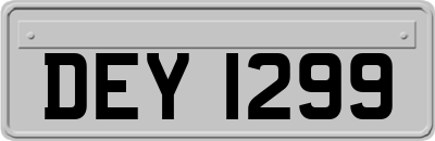 DEY1299