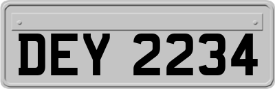 DEY2234